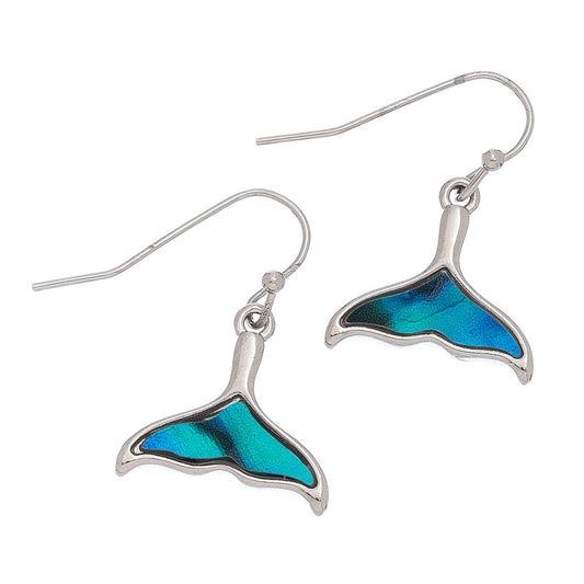 Abalone Whale Tail Er-Blue