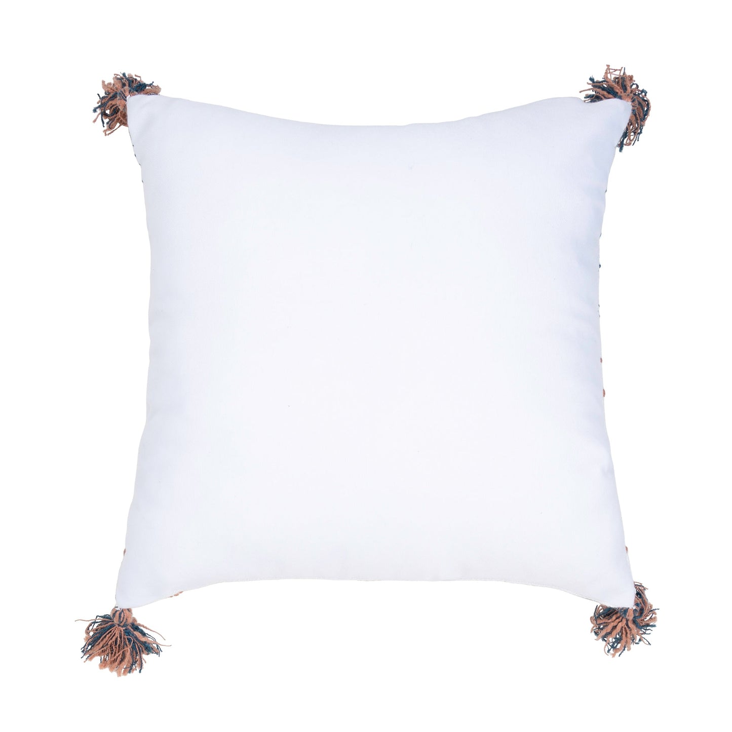 Tylanne Handwoven Indoor/Outdoor 18x18 Pillow