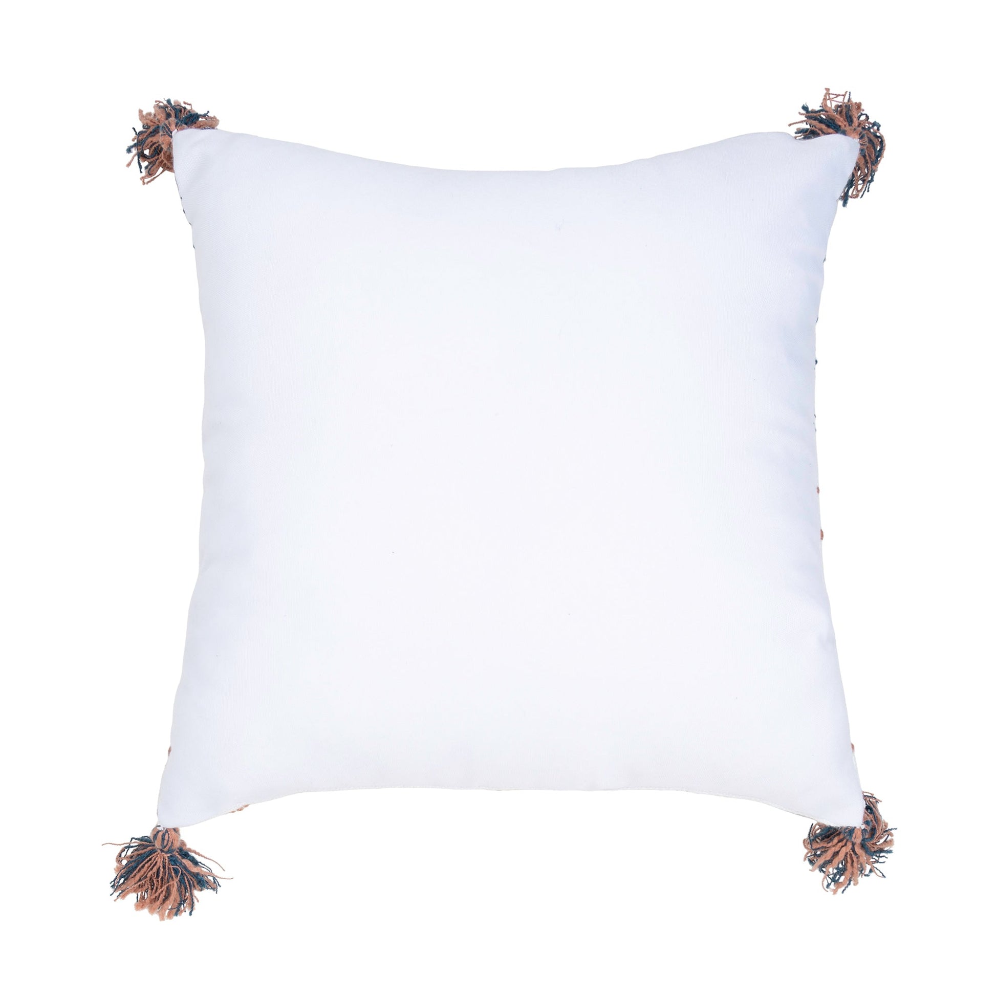 Tylanne Handwoven Indoor/Outdoor 18x18 Pillow