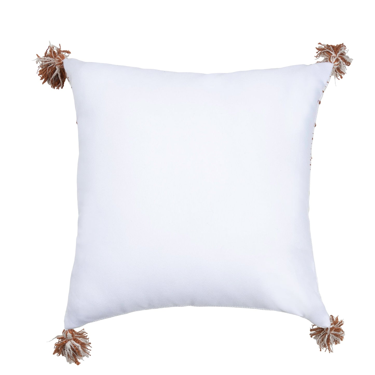 Tylanne Handwoven Indoor/Outdoor 18x18 Pillow