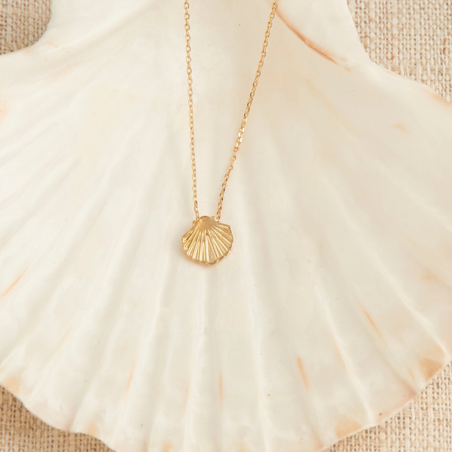 Shell Icon Necklace