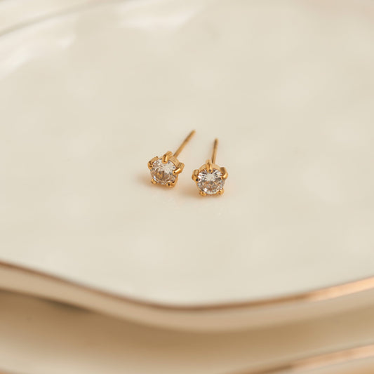 Narelle Waterproof 4mm Round Cubic Zirconia Stud Earrings