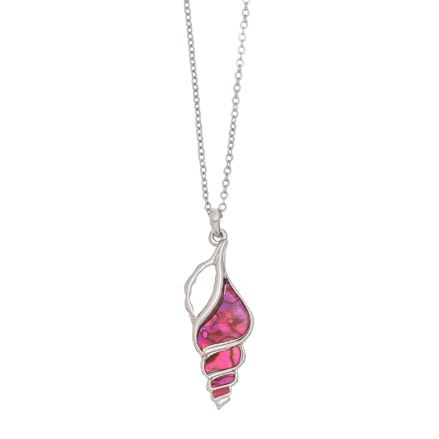 Abalone Conk Shell Nk-Pink