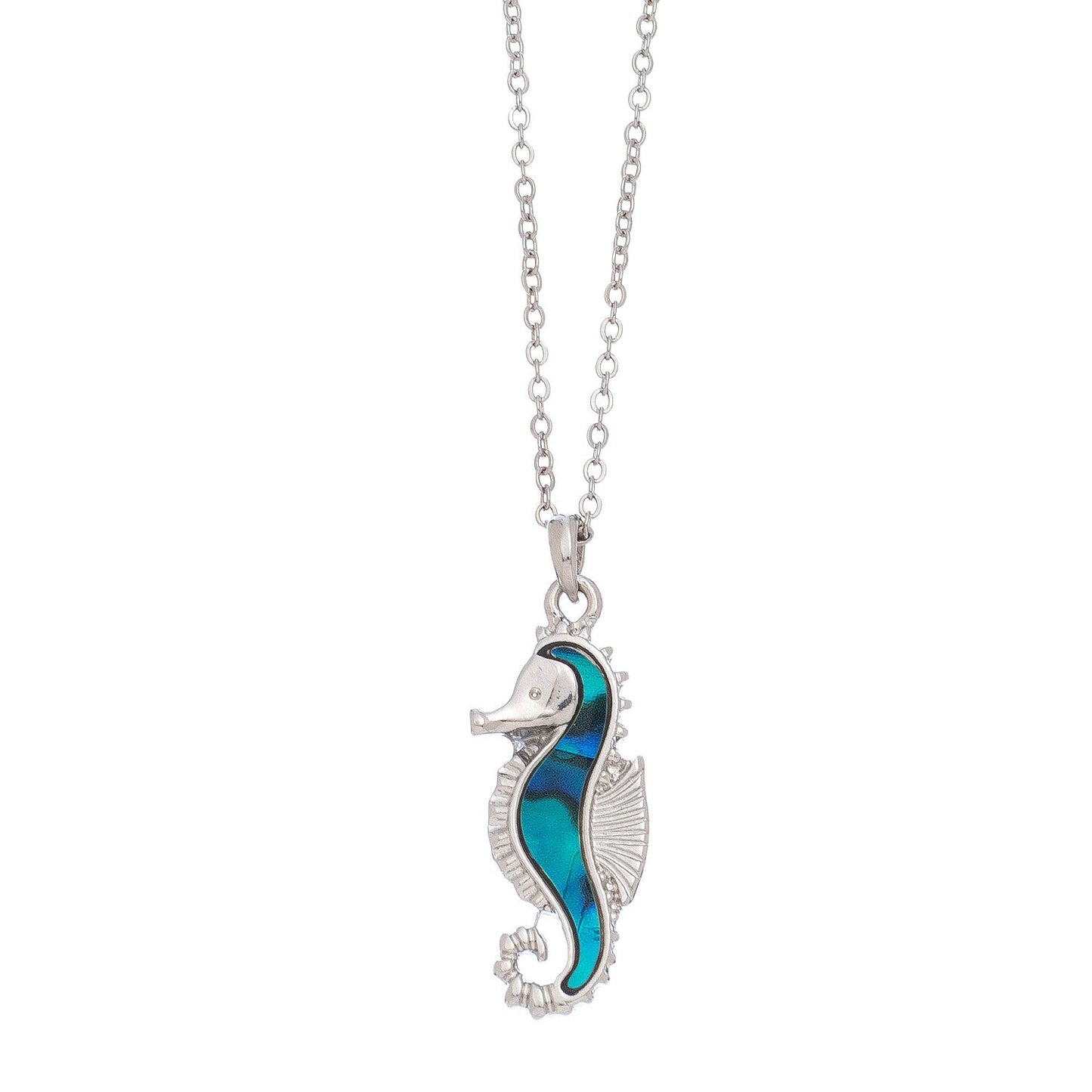 Abalone Sea Horse Nk-Blue