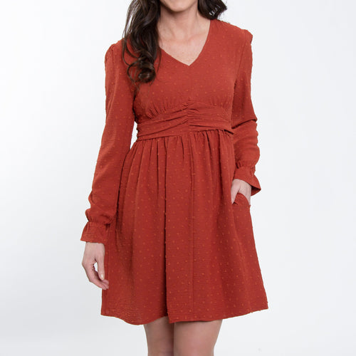 Hayden Swiss Dot Ruched V-Neck Dress