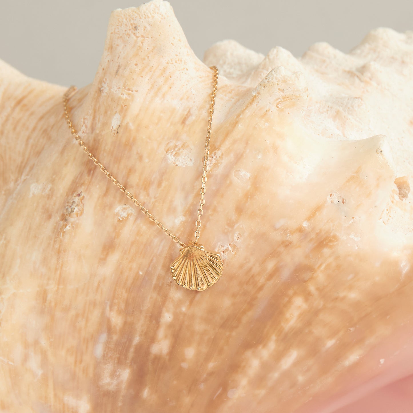 Shell Icon Necklace