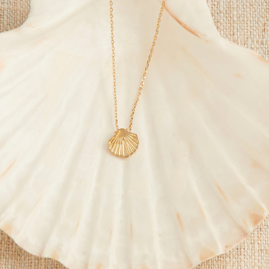 Shell Icon Necklace