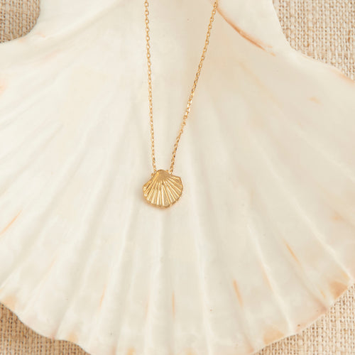 Shell Icon Necklace