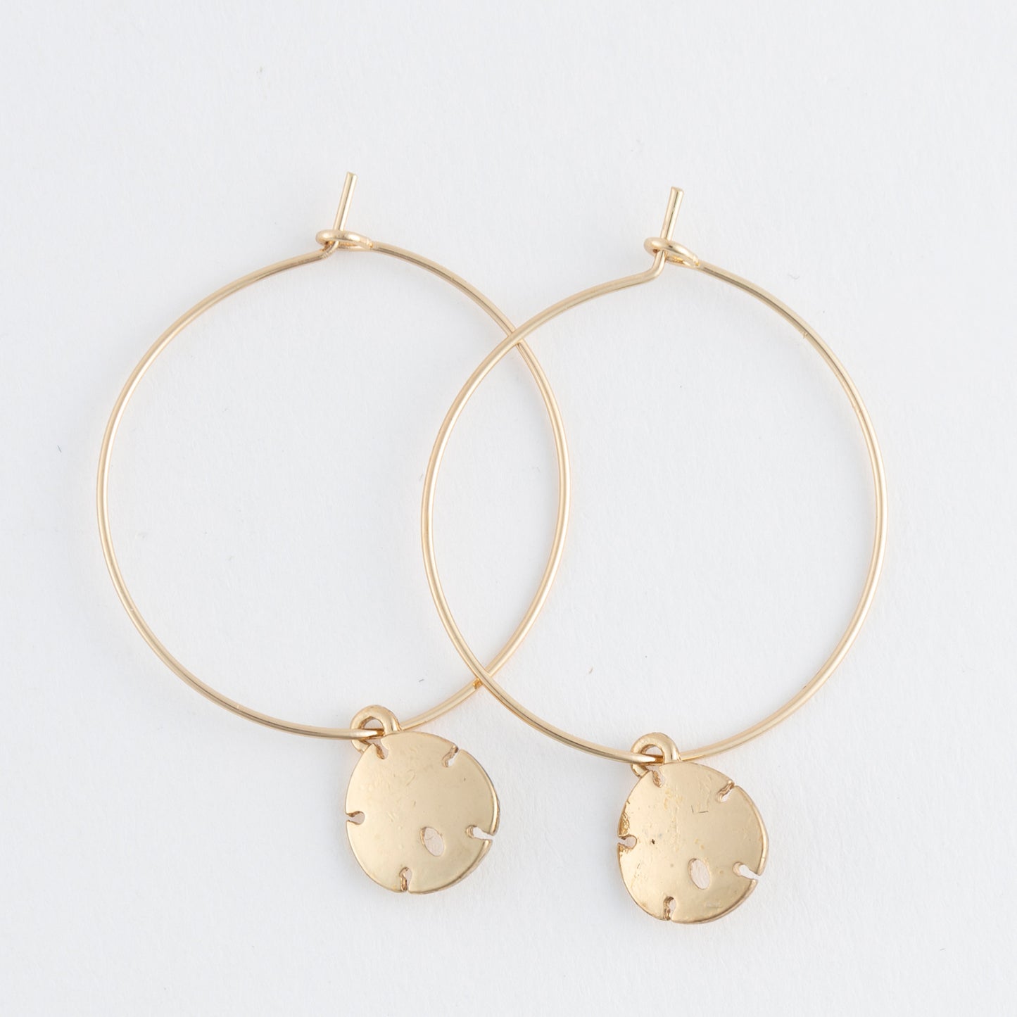 Dainty Sand Dollar Hoop Earrings