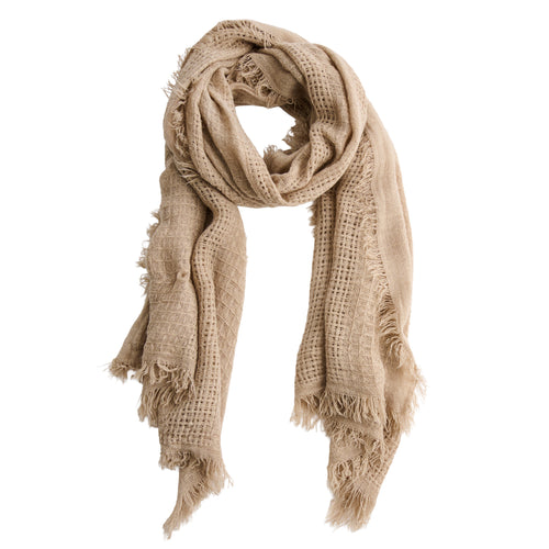 Asher Lightweight Fringe Scarf