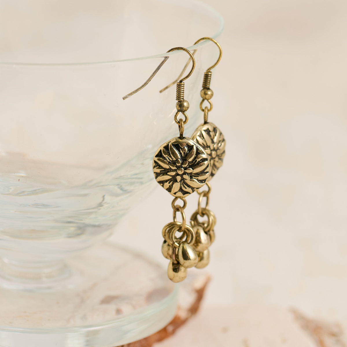 Wild Spirit Medallion Charm Earrings