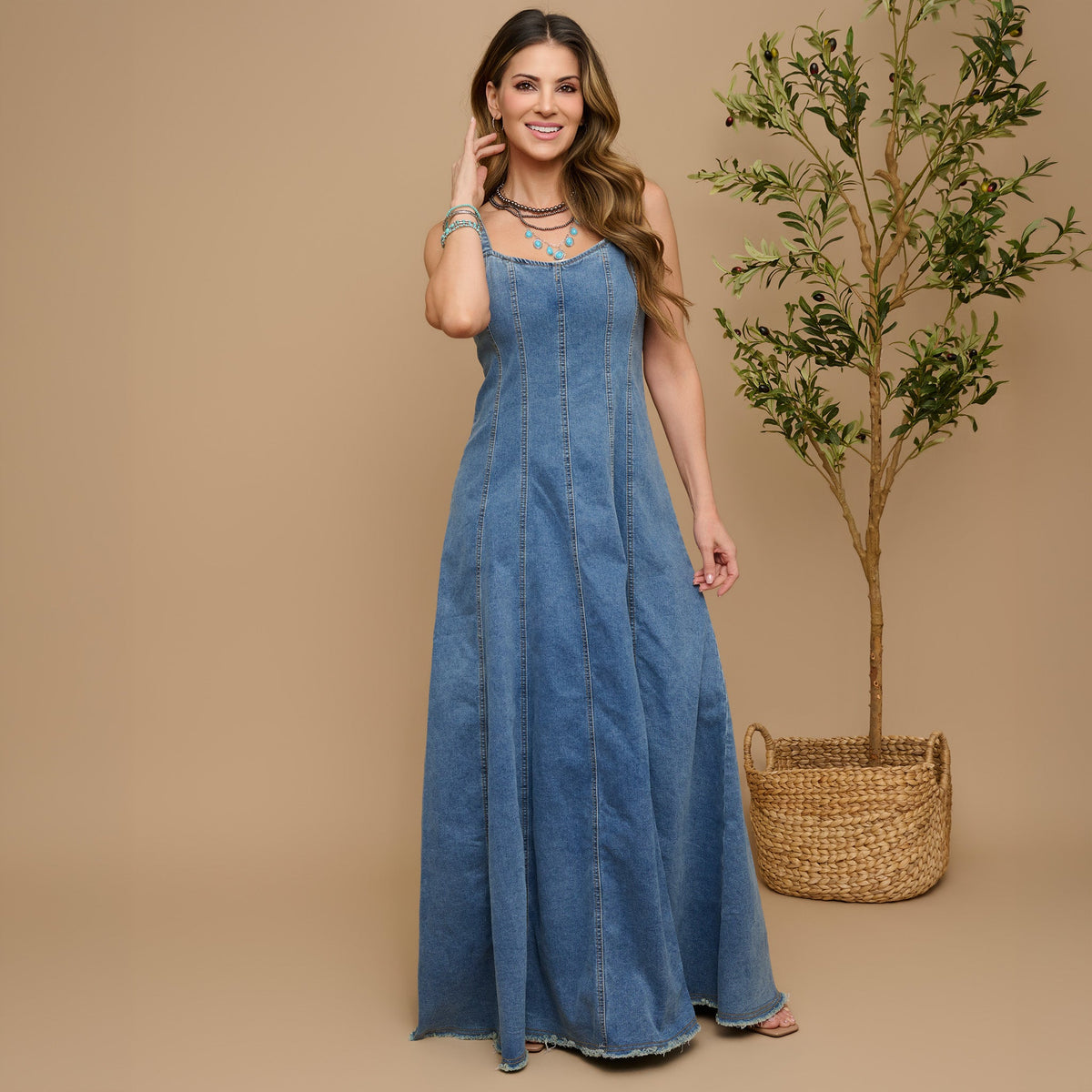 Skylar Denim Maxi Dress