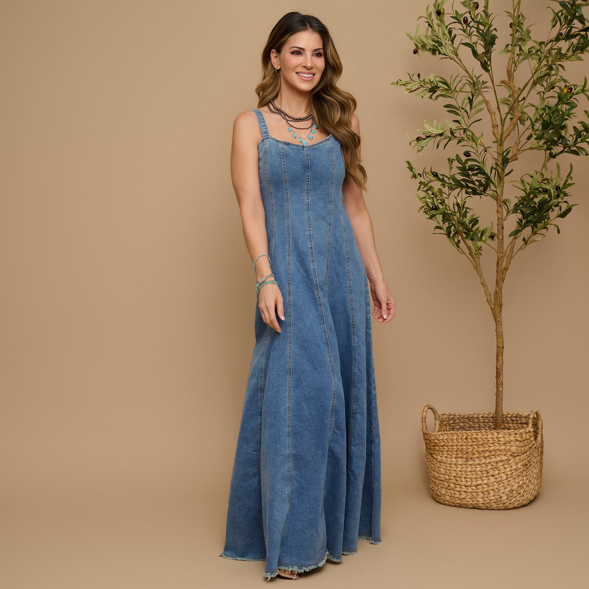Skylar Denim Maxi Dress