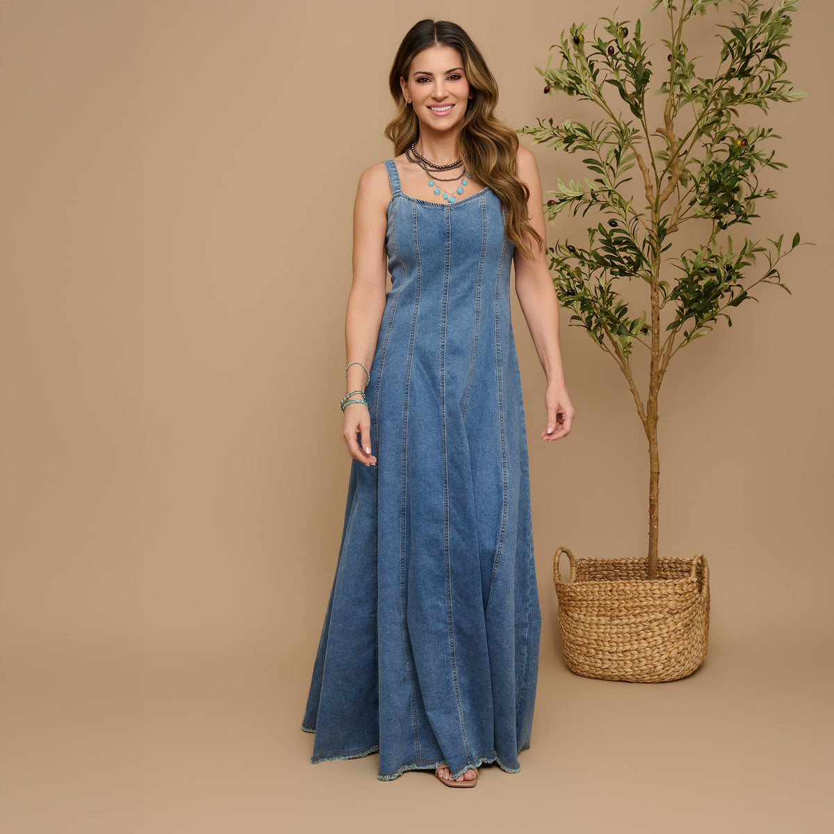 Skylar Denim Maxi Dress
