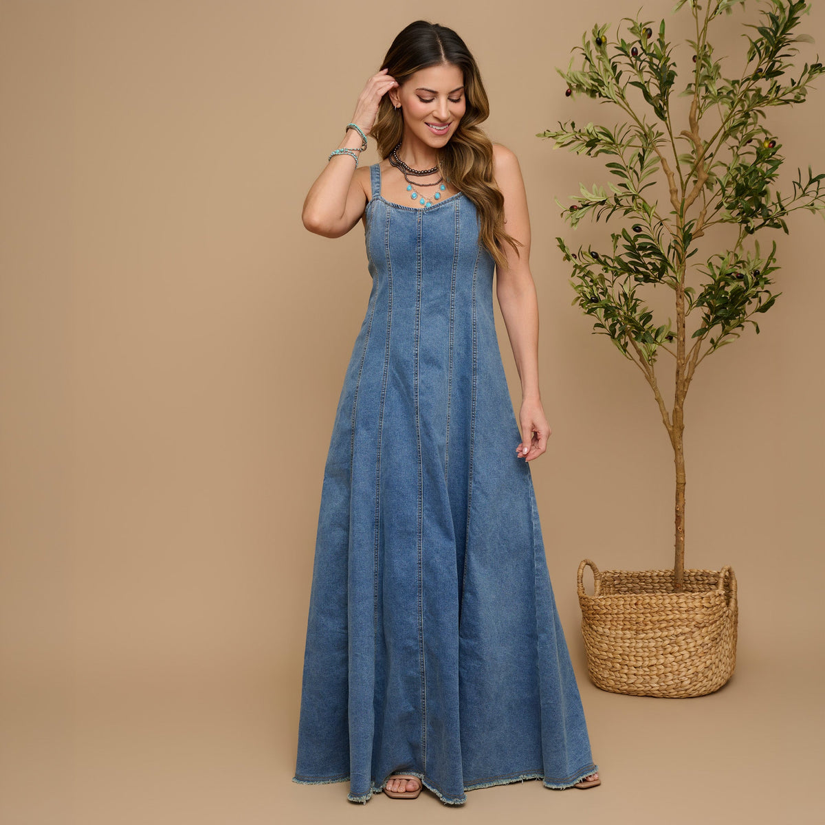 Skylar Denim Maxi Dress